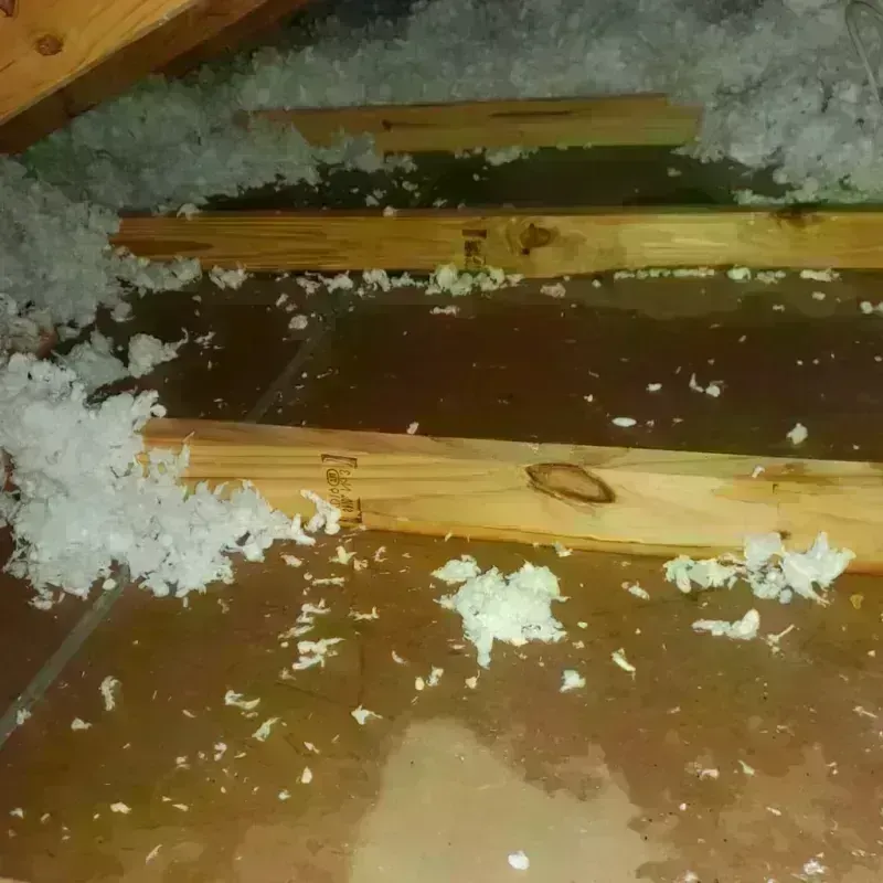 Attic Water Damage in Putnam, CT